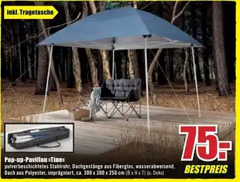 B1 Discount Baumarkt Pop-up Pavillon Tine Angebot