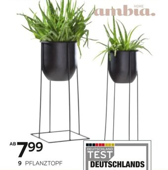 XXXLutz Ambia Pflanztopf Angebot