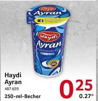 Selgros Haydi Ayran Angebot