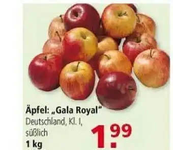 Multi Markt Äpfel: ,,Gala Royal" Angebot