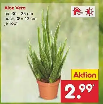 Netto Marken-Discount Aloe Vera Angebot