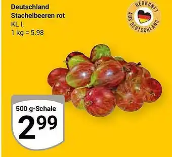 Globus Stachelbeeren Rot Angebot