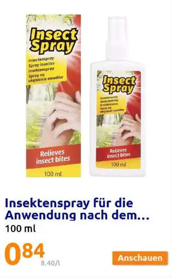 Action Insect Spray 100ml Angebot