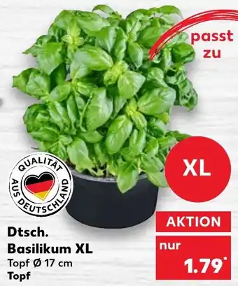 Kaufland Dtsch. Basilikum XL Angebot