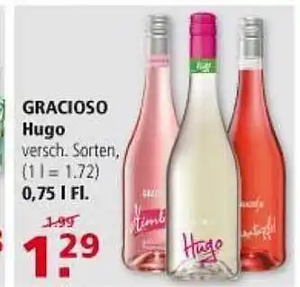 Multi Markt Gracioso Hugo Angebot