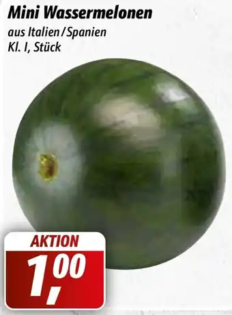 Simmel Mini Wassermelonen Angebot