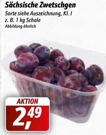 Simmel Sächsische Zwetschgen 1 kg Schale Angebot