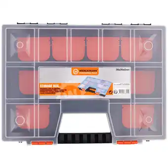 Action Werckmann Aufbewahrungsbox Professional Tools Angebot