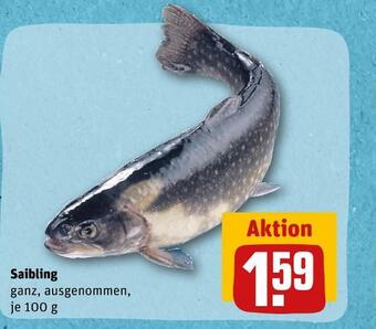 REWE Saibling Angebot