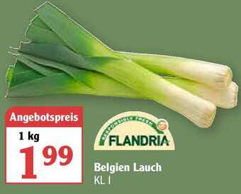 Globus Belgien Lauch 1 kg Angebot