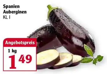 Globus Spanien Auberginen 1 kg Angebot