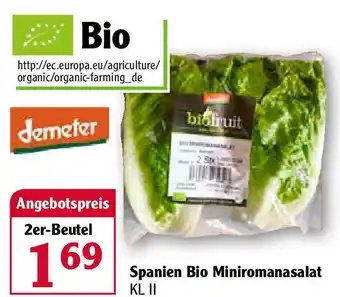 Globus Spanien Bio Miniromanasalat Angebot