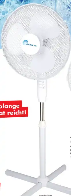 Mäc Geiz Standventilator Angebot