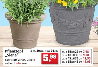 Thomas Philipps Pflanztopf ,,Siena" Angebot