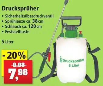 Thomas Philipps Drucksprüher 5 Liter Angebot