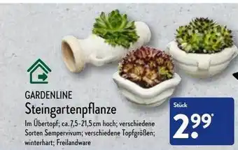 Aldi Nord Gardenline Steingartenpflanze Angebot