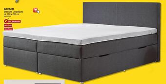 Poco Boxbett Angebot