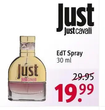 Rossmann Just cavalli edt spray just Angebot