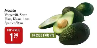 Galeria Markthalle Avocado Angebot