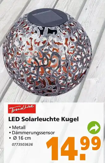 Globus Baumarkt TrendLine LED Solarleuchte Kugel Angebot