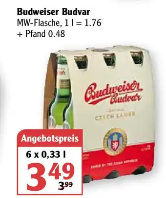 Globus Budweiser Budvar Angebot