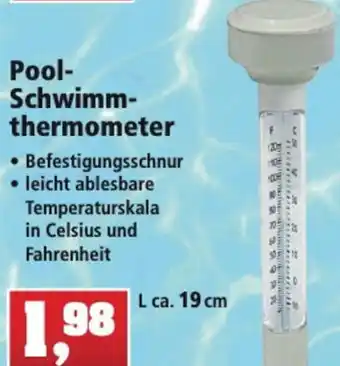 Thomas Philipps Pool Schwimm thermometer Angebot