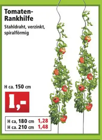 Thomas Philipps Tomaten Rankhilfe Angebot