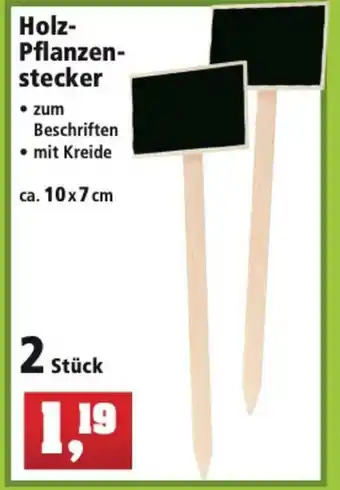 Thomas Philipps Holz Pflanzenstecker Angebot