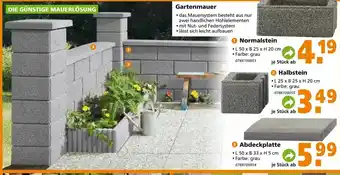 Globus Baumarkt Gartenmauer Normalstein, Halbstein oder Abdeckplatte Angebot