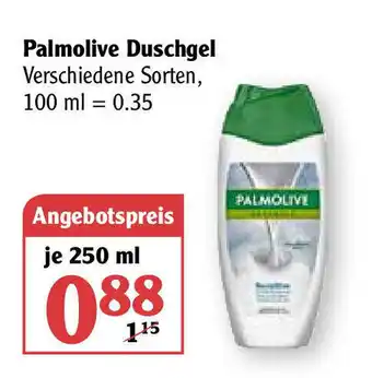 Globus Palmolive Duschgel 250 ml Angebot