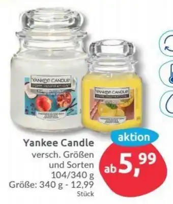 Budni Yankee Candle Angebot