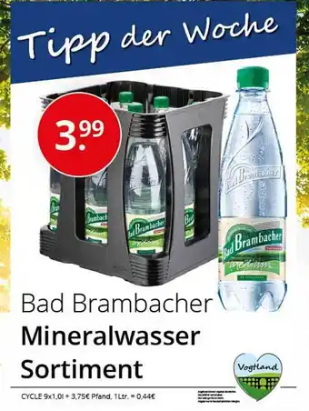 Sagasser Bad Brambacher Mineralwasser Angebot
