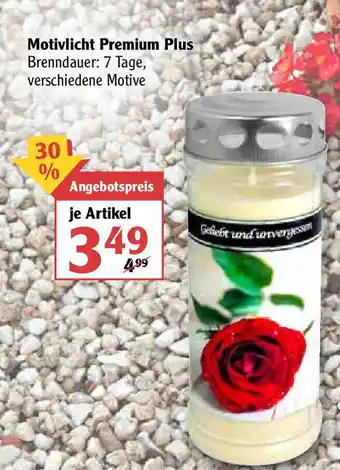 Globus Motivlicht Premium Plus Angebot