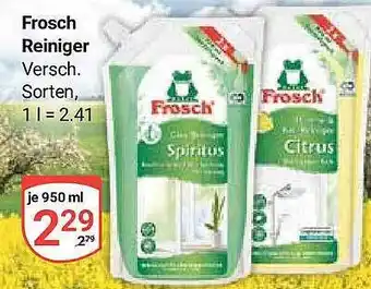 Globus Frosch Reiniger Angebot