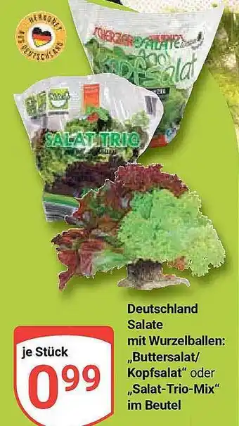 Globus Deutschland Salate Mit Wurzelballen: „buttersalat-kopfsalat“ Oder „salat-trio-mix“ Im Beutel Angebot