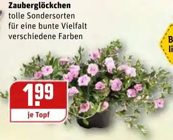 REWE Zauberglöckchen Angebot