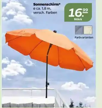 NETTO Sonnenschirm Angebot