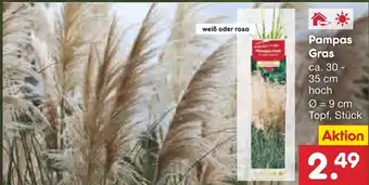 Netto Marken-Discount Pampas Gras Angebot