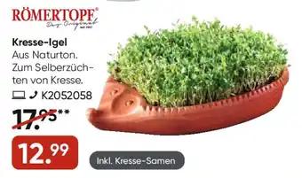 Galeria Römertopf Kresse-Igel Angebot