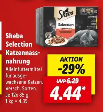 Lidl Sheba selection katzennassnahrung Angebot