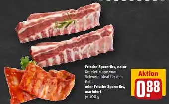 REWE Frische Spareribs, natur o. Frische Spareribs, mariniert 100g Angebot