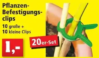 Thomas Philipps Pflanzen Befestigungsclips 20er Set Angebot