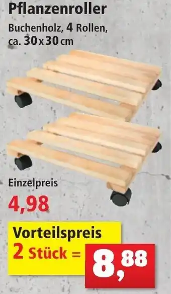 Thomas Philipps Pflanzenroller Angebot
