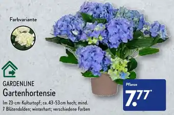 Aldi Nord Gardenline Gartenhortensie Angebot