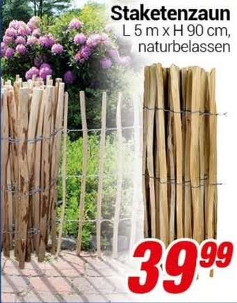 CENTERSHOP Staketenzaun Angebot