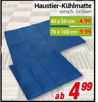 CENTERSHOP Haustier Kühlmatte Angebot