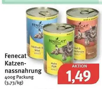 Feneberg Fenecat katzennahrung Angebot