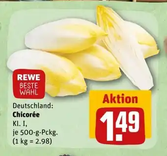 REWE Chicoree 500g Angebot