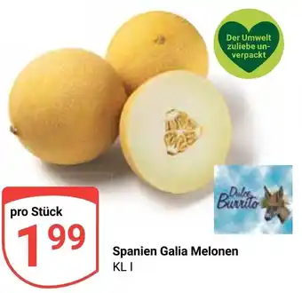 Globus Dolce Burrito Galia Melonen Angebot