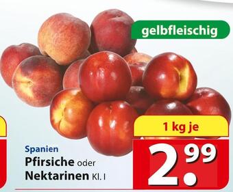 Famila Nord Ost Pfirsiche oder nektarinen Angebot